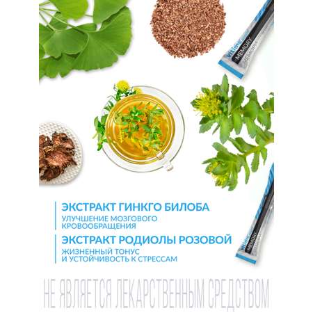 Витайм Аквастик Мемори сироп в стиках Vitime Для активной работы мозга, для памяти,15 стиков