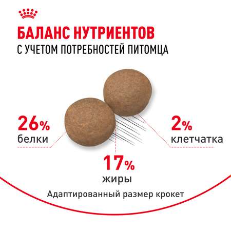 Корм для собак ROYAL CANIN крупных пород 26-44кг 3кг