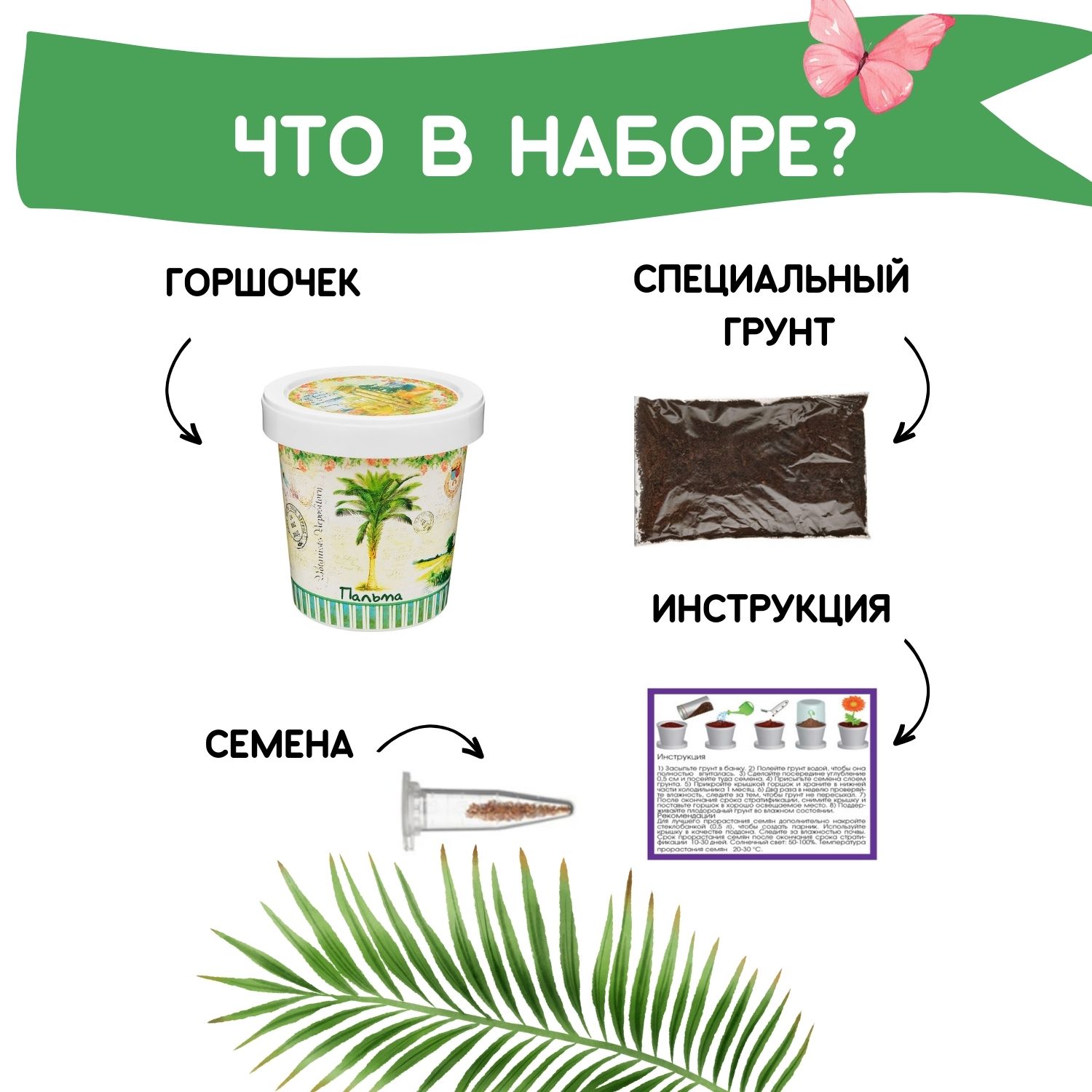 Набор для выращивания (Пальма)