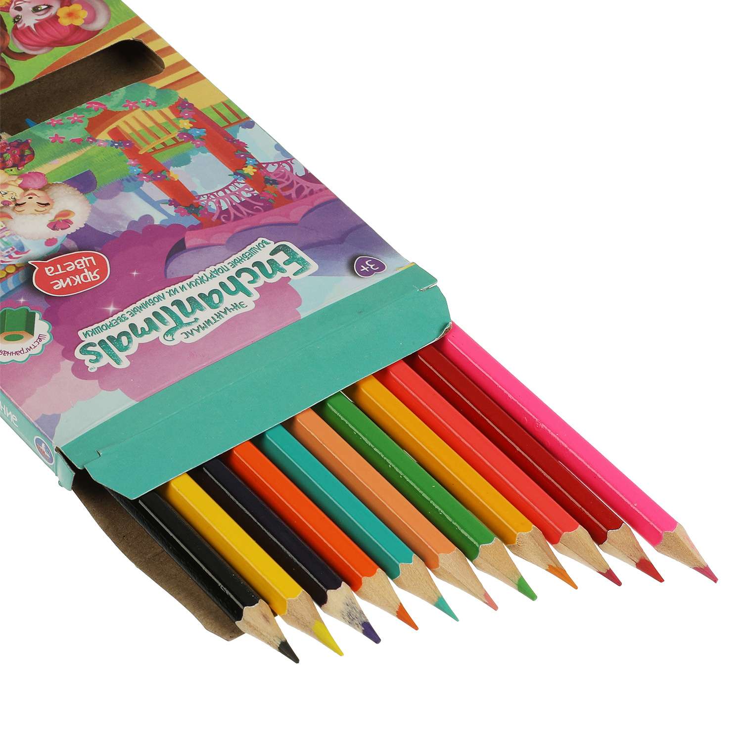 Цветные карандаши УМка Enchantimals двусторонние 24 цвета 12 штук 329609 - фото 2