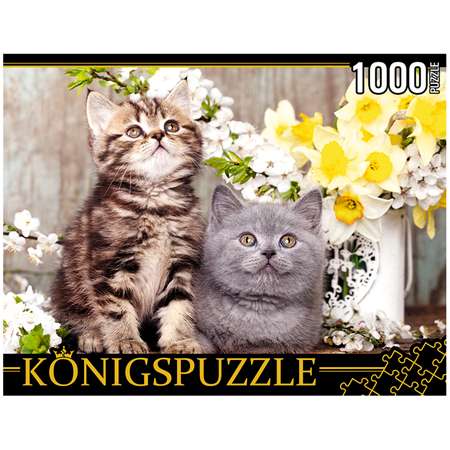 Пазл Рыжий кот Konigspuzzle котята в весенних цветах ШТK1000-0647