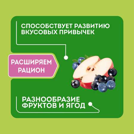 Каша Heinz Лакомая овсяная яблоко-черника-черная смородина 170г с 5месяцев