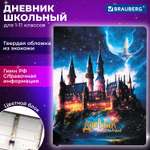 Дневник школьный Brauberg 1-11 класс замок канцелярия