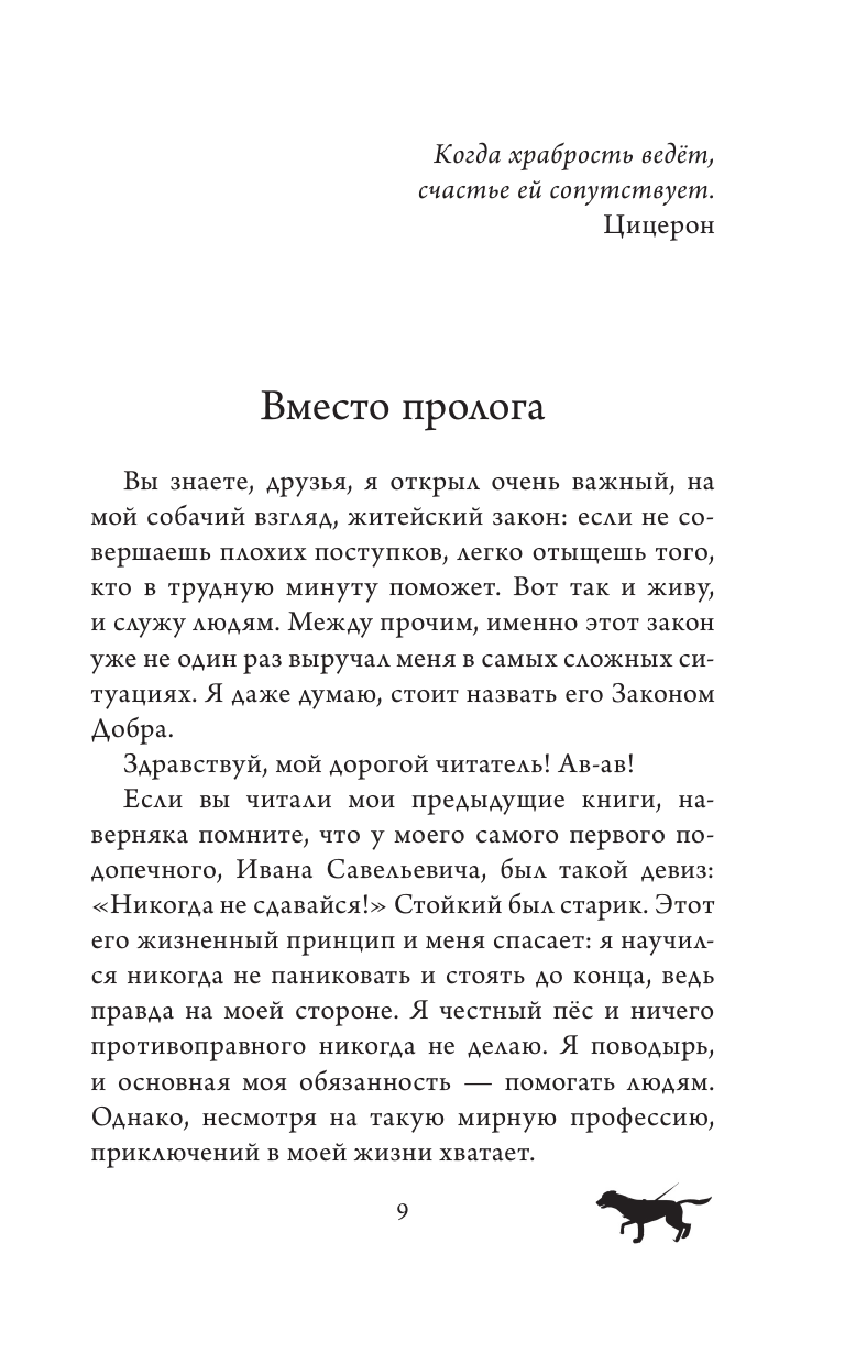 Книга АСТ Как Трисон стал полицейским или Правила добрых дел - фото 6