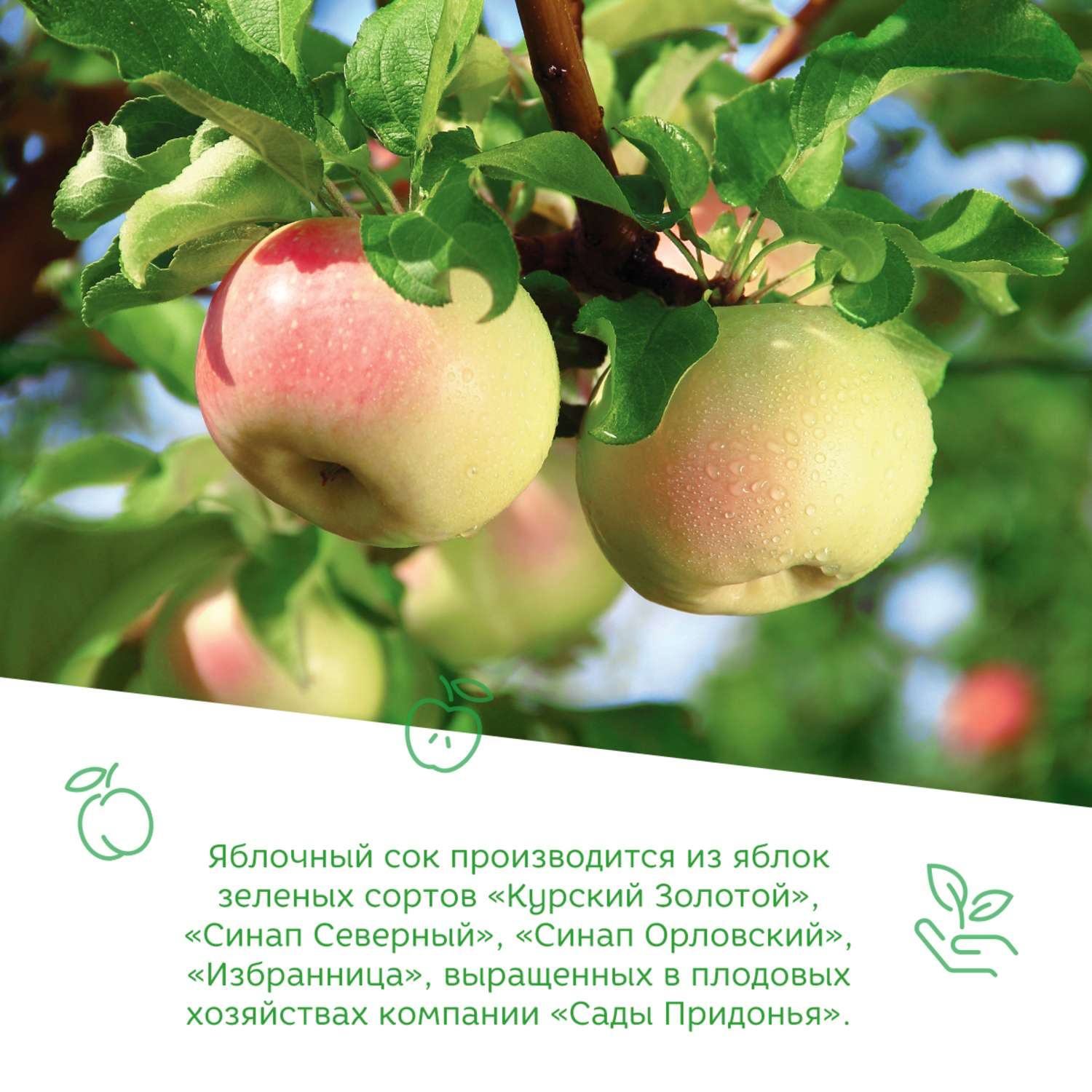 Сок Сады Придонья яблоко-персик с мякотью 0.2л с 6месяцев - фото 5