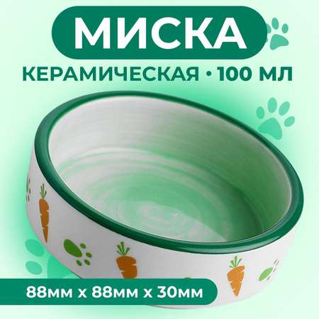 Миска Пижон керамическая для грызунов двухцветная с морковками 80 мл 8.8х8.8х3 см зелёно-белая