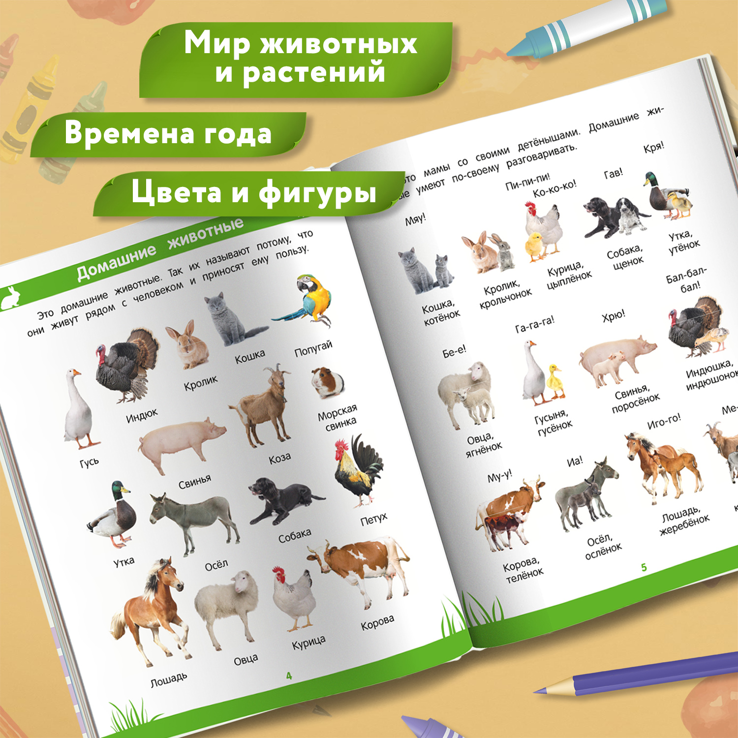 Книга Феникс Первая книга знаний Энциклопедия дошкольника 3-4 года - фото 3