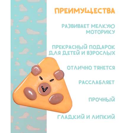 Сквиш КАМЕЛИЯ
