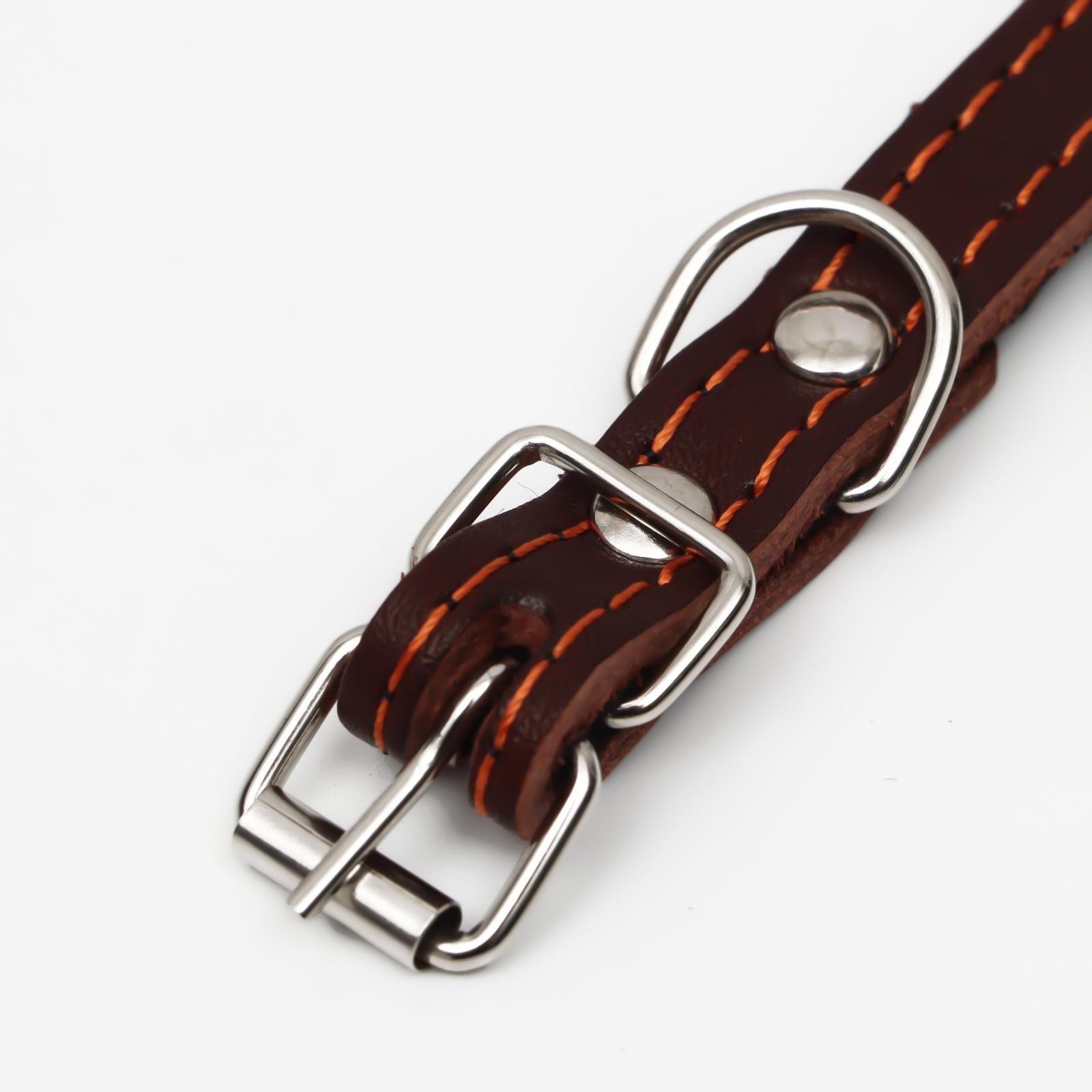 Ошейник Пижон кожаный на синтепоне безразмерный 37 х 1.5 см коричневый - фото 4