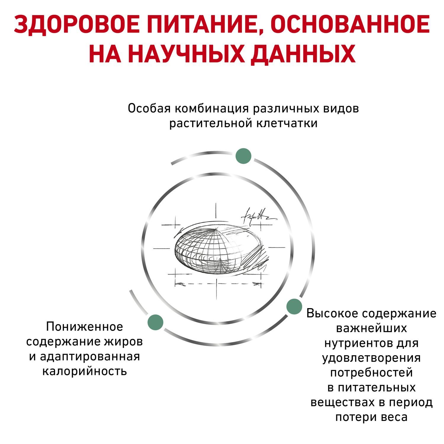 Корм для кошек ROYAL CANIN Satiety management 34 контроль веса 0.4кг - фото 4