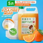 Средство для мытья посуды SEPTIVIT Premium Сочный цитрус 5л