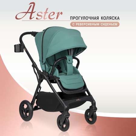 Коляска прогулочная Aimile Aster