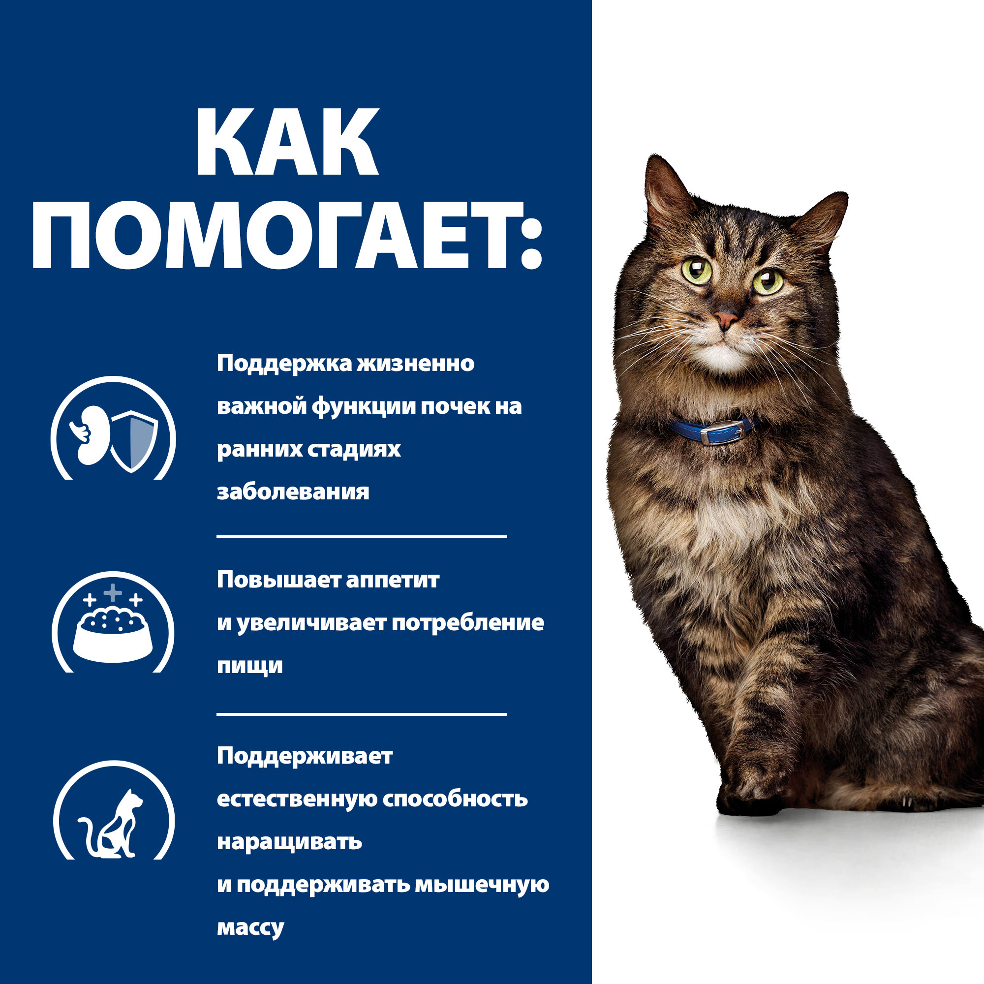 Корм для кошек Hills 1.5кг Prescription Diet k/d Early Stage при ранней стадии болезни почек - фото 5