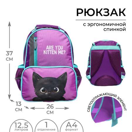 Рюкзак школьный Calligrata 37 х 26 х 13 см эргономичная спинка «Котик черный»