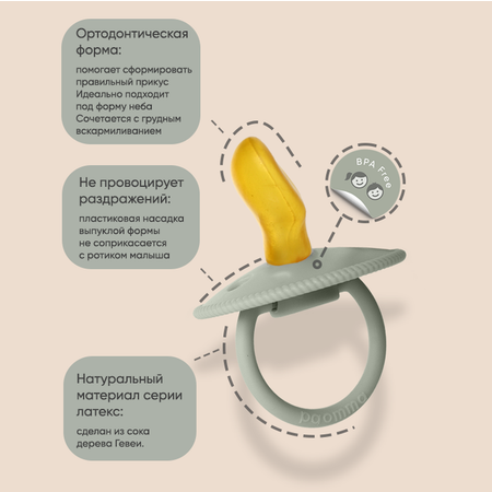 Соска-пустышка Paomma ортодонтическая латексная с 3 месяцев ночная