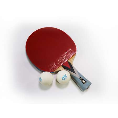 Набор для настольного тенниса Double Fish 4А+С ракетка и 2 мяча