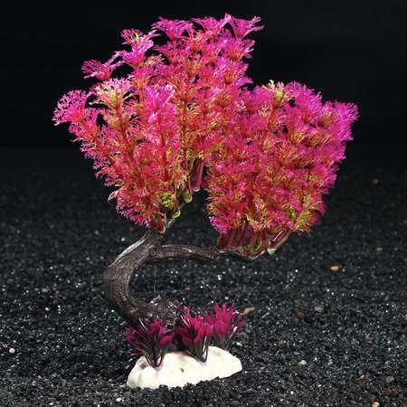 Растение для аквариума Пижон Аква 19 см