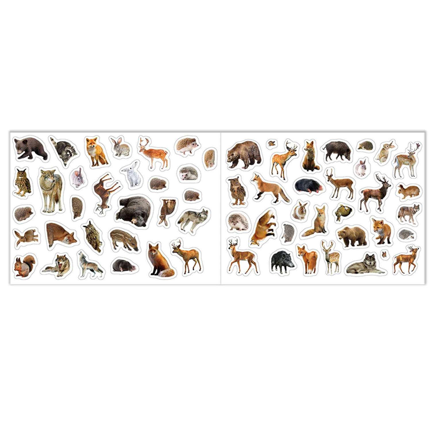 Набор Буква-ленд книг 100 наклеек «Изучаем животных» 3 шт по 12 стр - фото 4