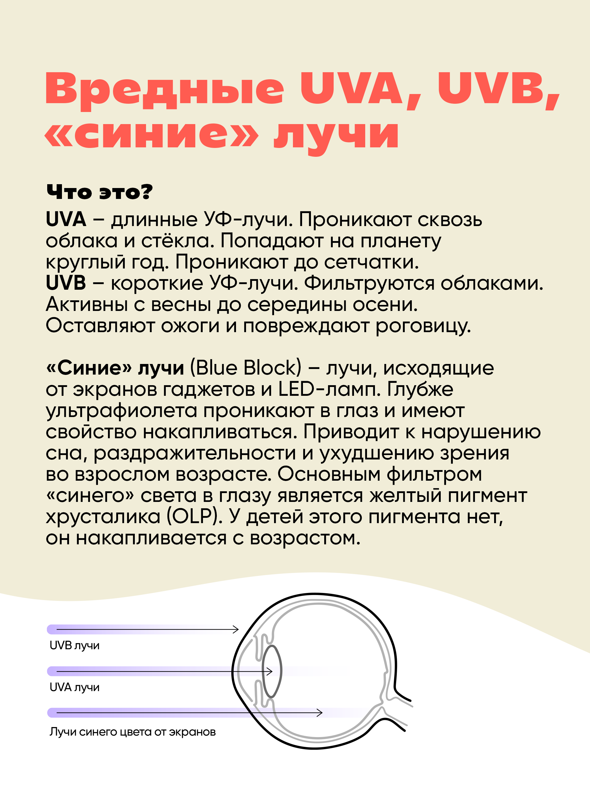 Очки солнцезащитные KiETLA R2SUNHAWTHORN - фото 7