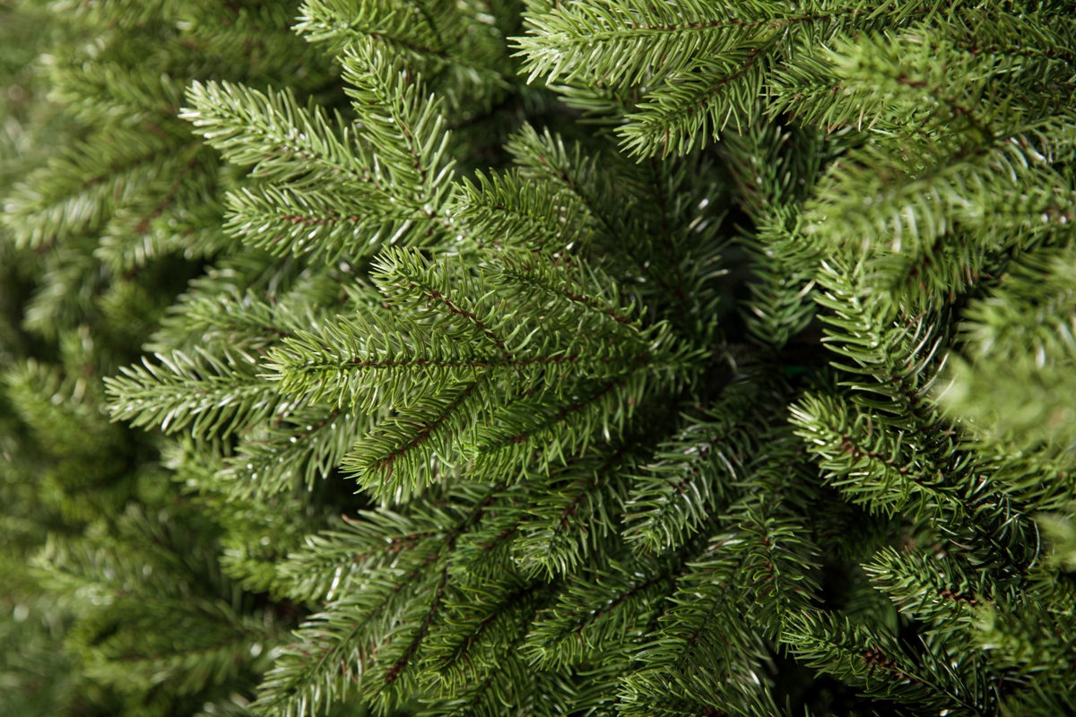 Искусственная елка Crystal Trees Моника 300 см. - фото 2