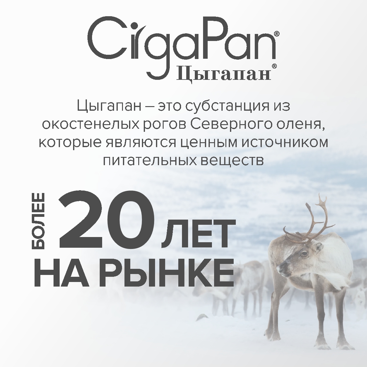 Витамины для костей CigaPan Цыгапан 120 капсул 400 мг - фото 9