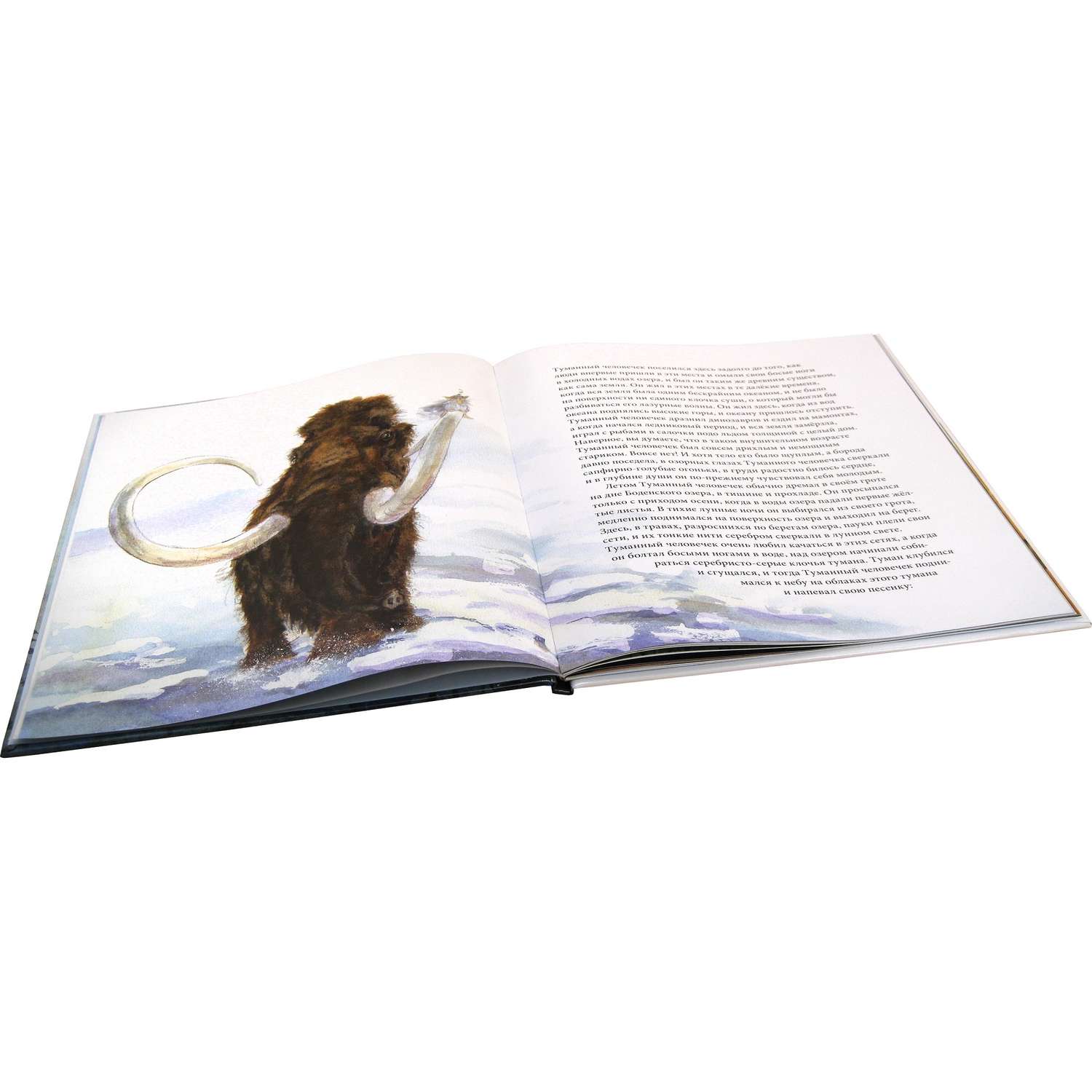Книга Добрая книга Туманный человечек с Боденского озера. Иллюстрации Даниэлы Дрешер - фото 4