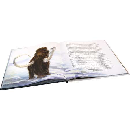Книга Добрая книга Туманный человечек с Боденского озера. Иллюстрации Даниэлы Дрешер