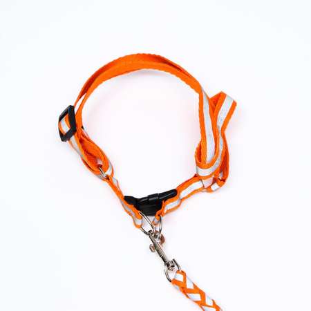 Комплект для собаки Пижон «Плетенка» флюорисцентный поводок 115 х 1 см и шлейка 32-48 см оранжевый