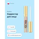 Корректор для лица EVELINE Botanic expert антибактериальный точечный тон 001