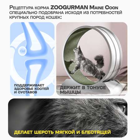 Корм сухой Зоогурман Maine Coon Телятина 10 кг
