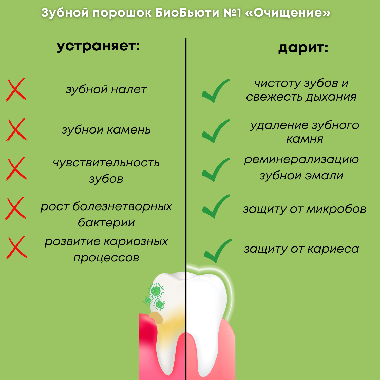 Зубной порошок БиоБьюти №1 Очищение (с хвоей пихты) - фото 5