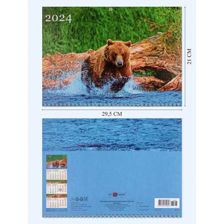 Календарь Арт и Дизайн Квартальный трехблочный премиум Медведь 2024 года