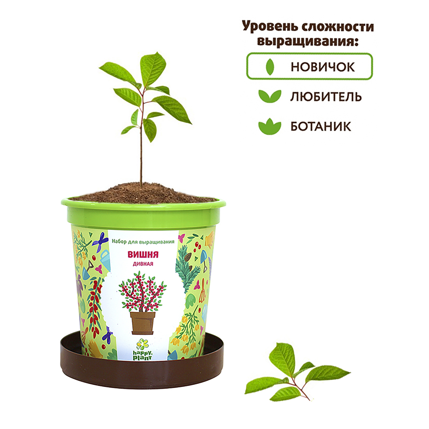 Набор для выращивания Happy Plant Вырасти сам растение в горшочке Вишня дивная - фото 5