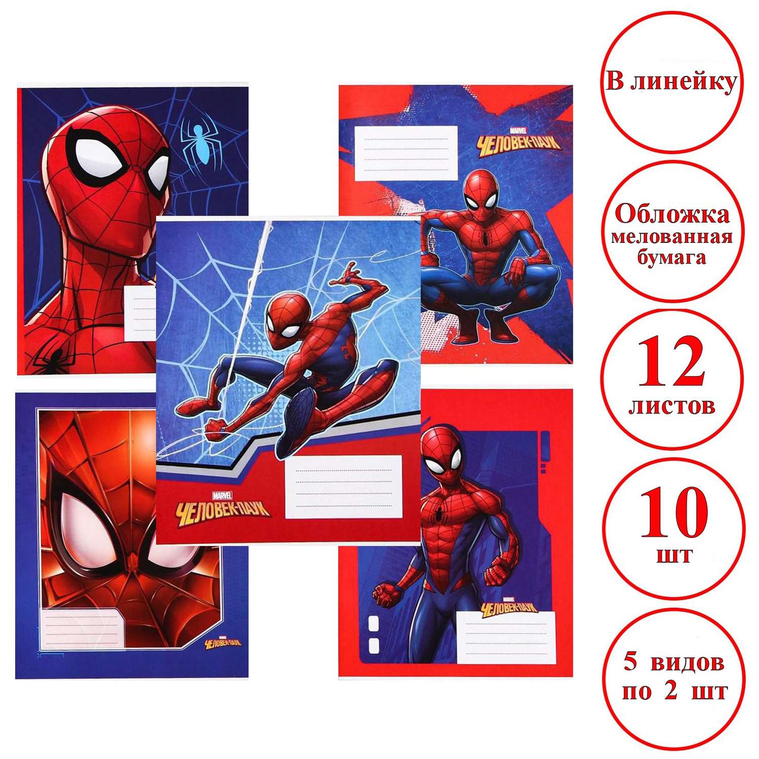 Комплект тетрадей MARVEL в линейку «Человек-паук» 10 шт - фото 2