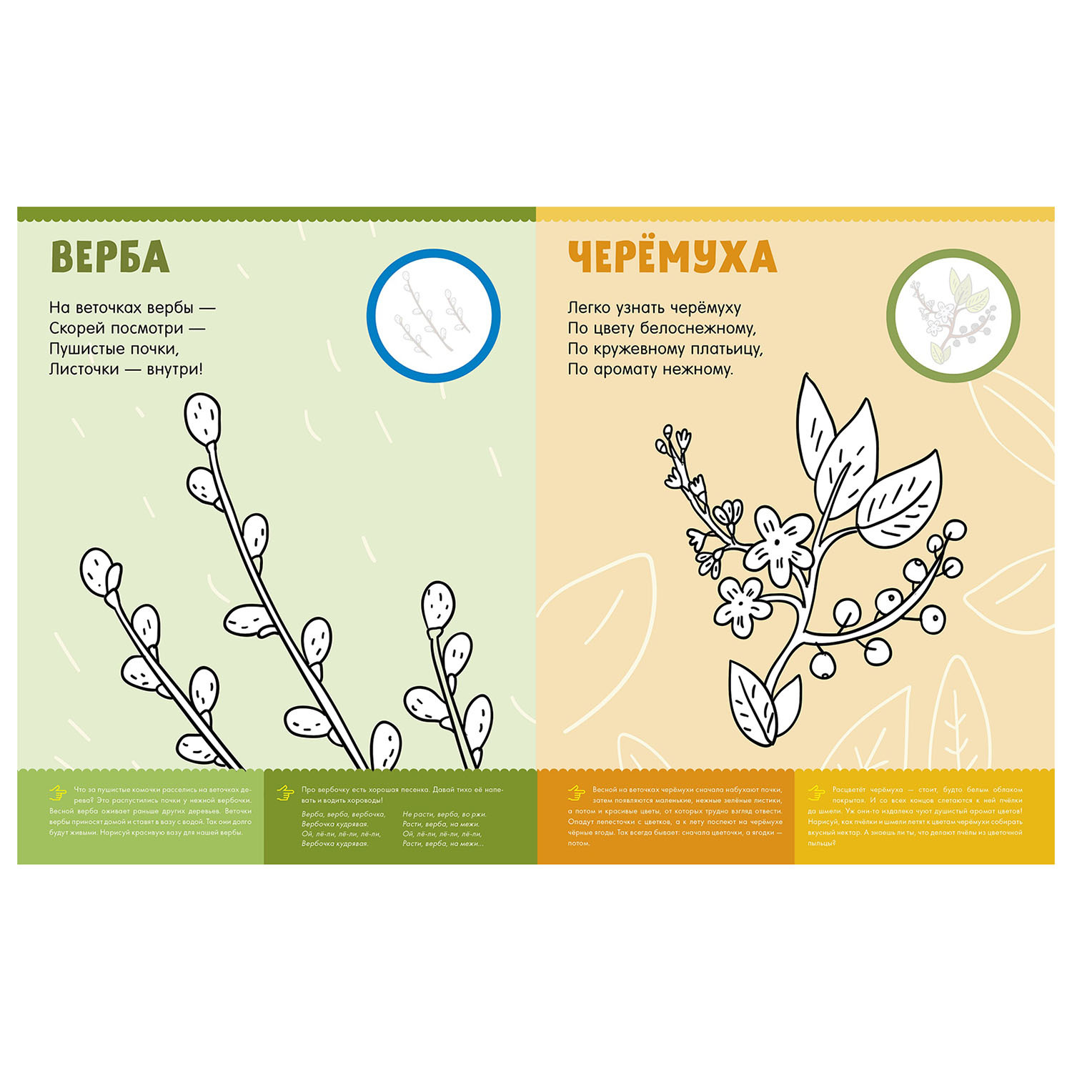 Книга Clever Самая первая книжка с заданиями Первая раскраска с наклейками Времена года - фото 2
