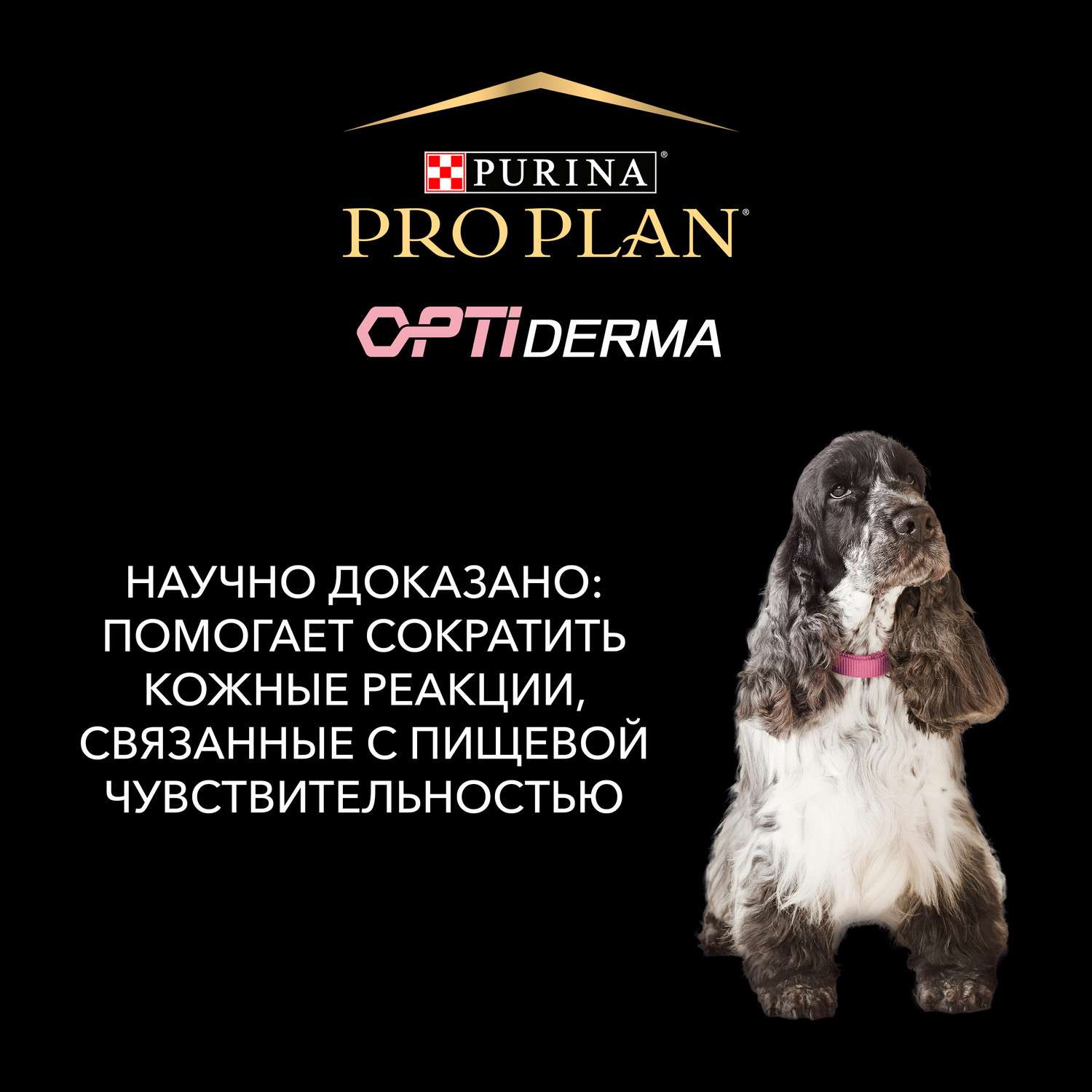 Корм для собак PRO PLAN пожилых средних и крупных пород с чувствительной кожей с комплексом Optiderma лосось с рисом 14кг - фото 6