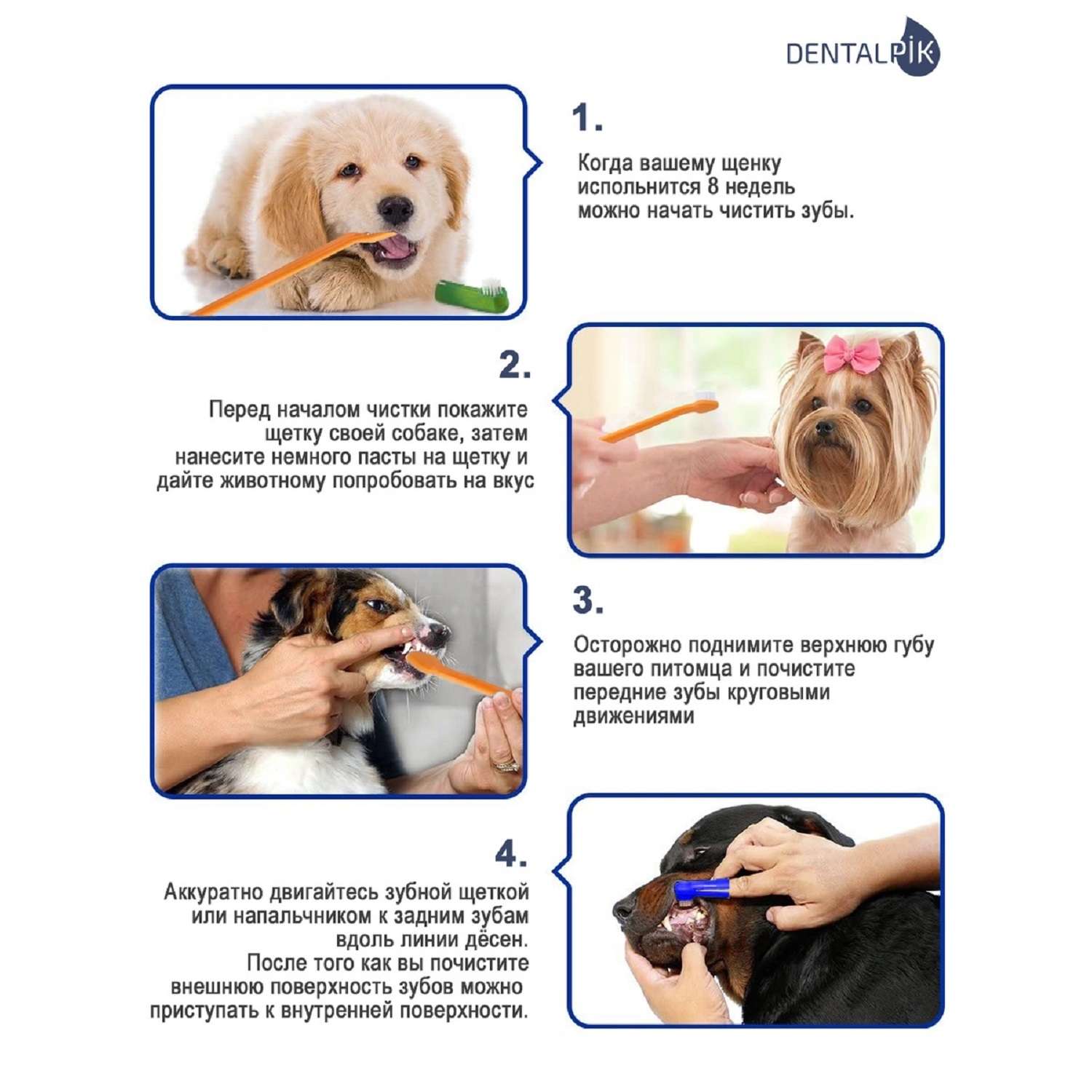 Зубная паста Dentalpik Pets Pets для собак вкус говядина и 3 щетки - фото 6