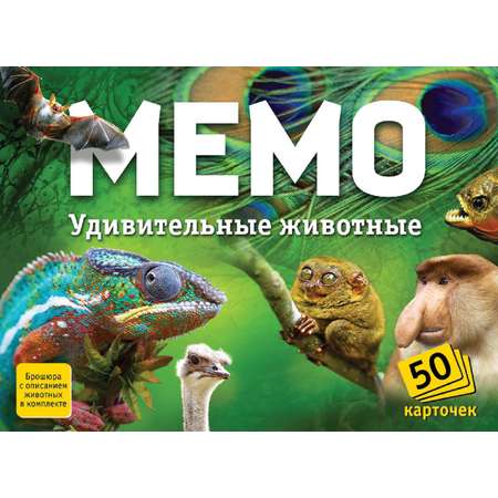 Мемо 50 карточек Нескучные игры Удивительные животные