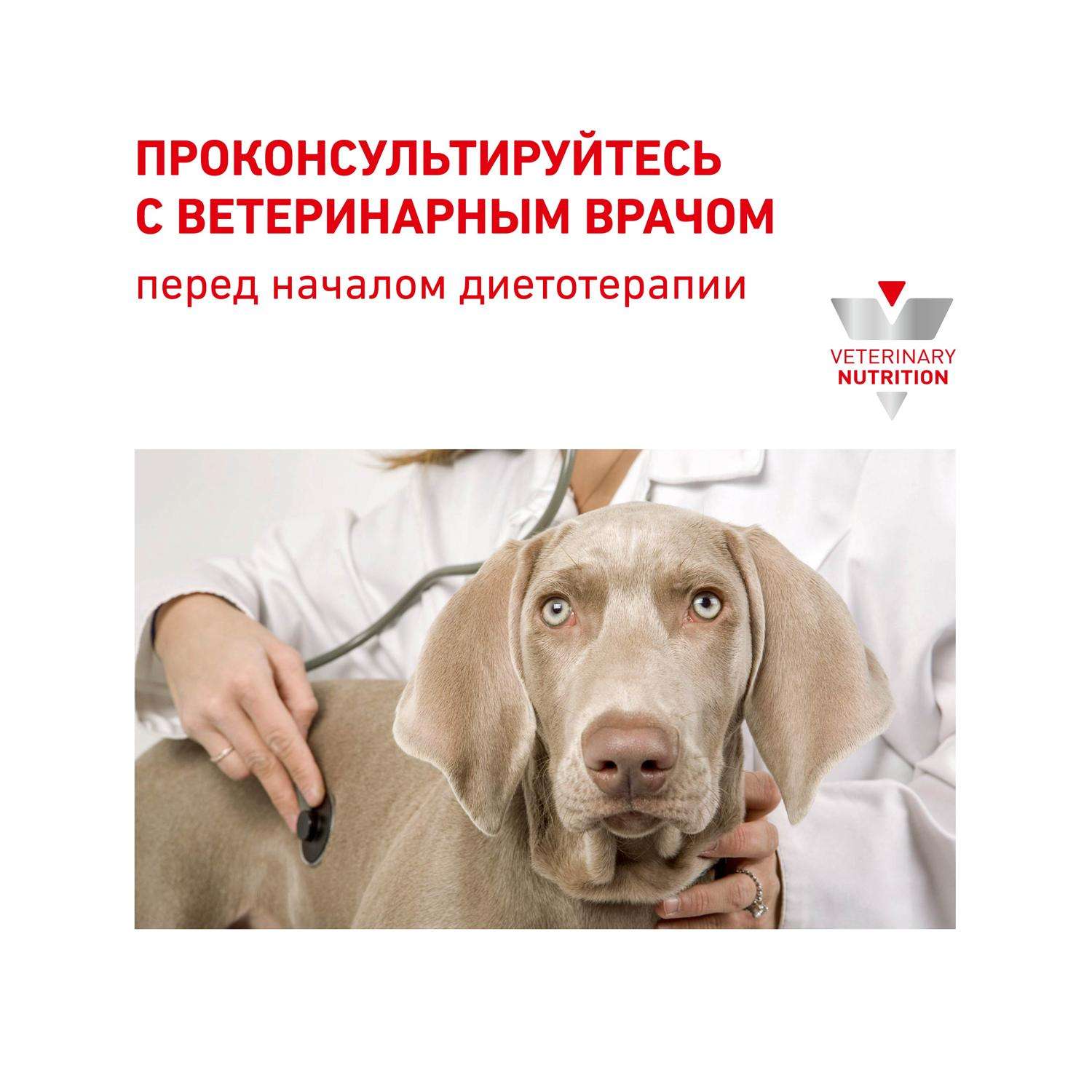 Корм для собак ROYAL CANIN Gastro Intestinal GI25 при нарушениях пищеварения 2кг - фото 7