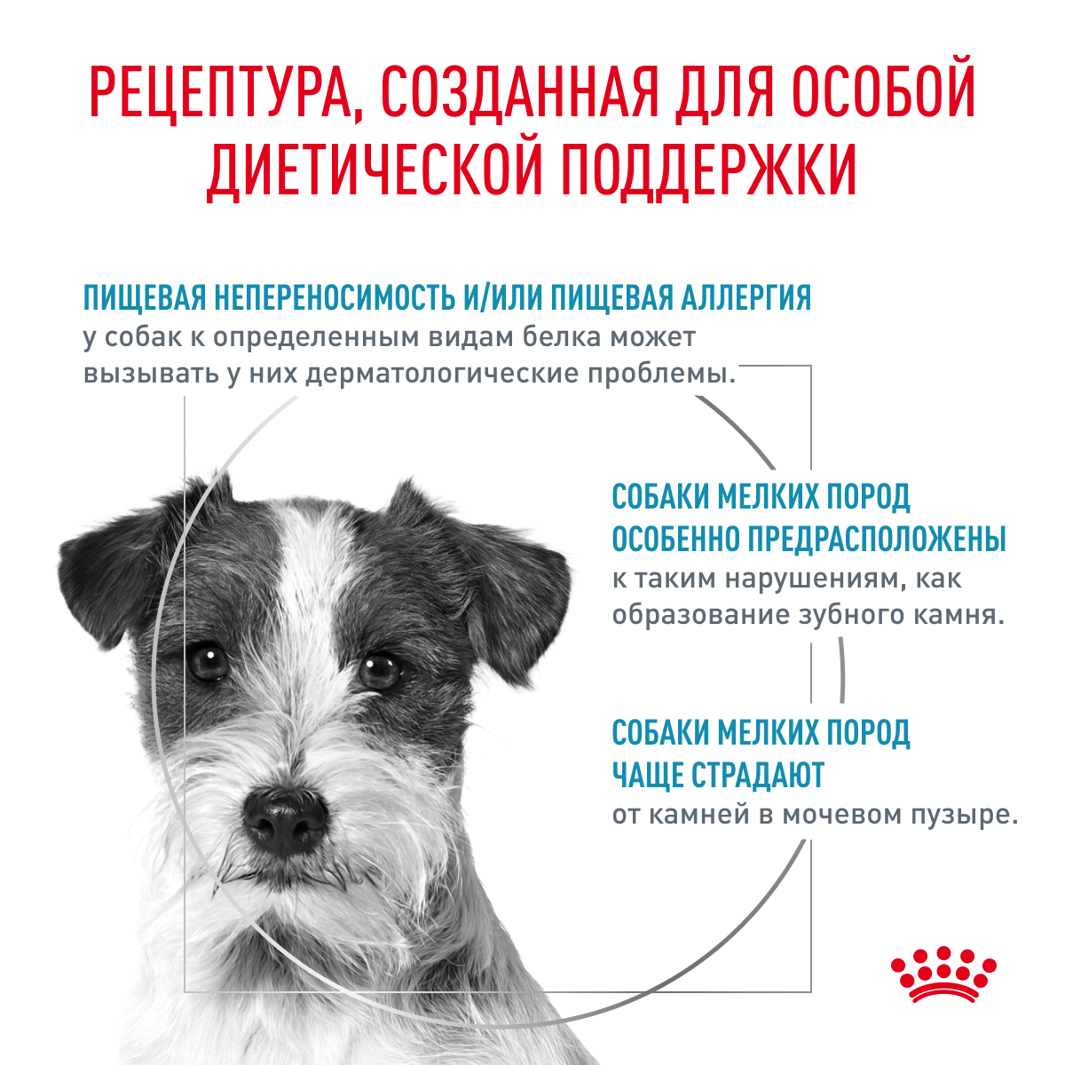 Корм для собак ROYAL CANIN Hypoallergenic HDS24 малых пород с пищевой аллергией 1кг - фото 2
