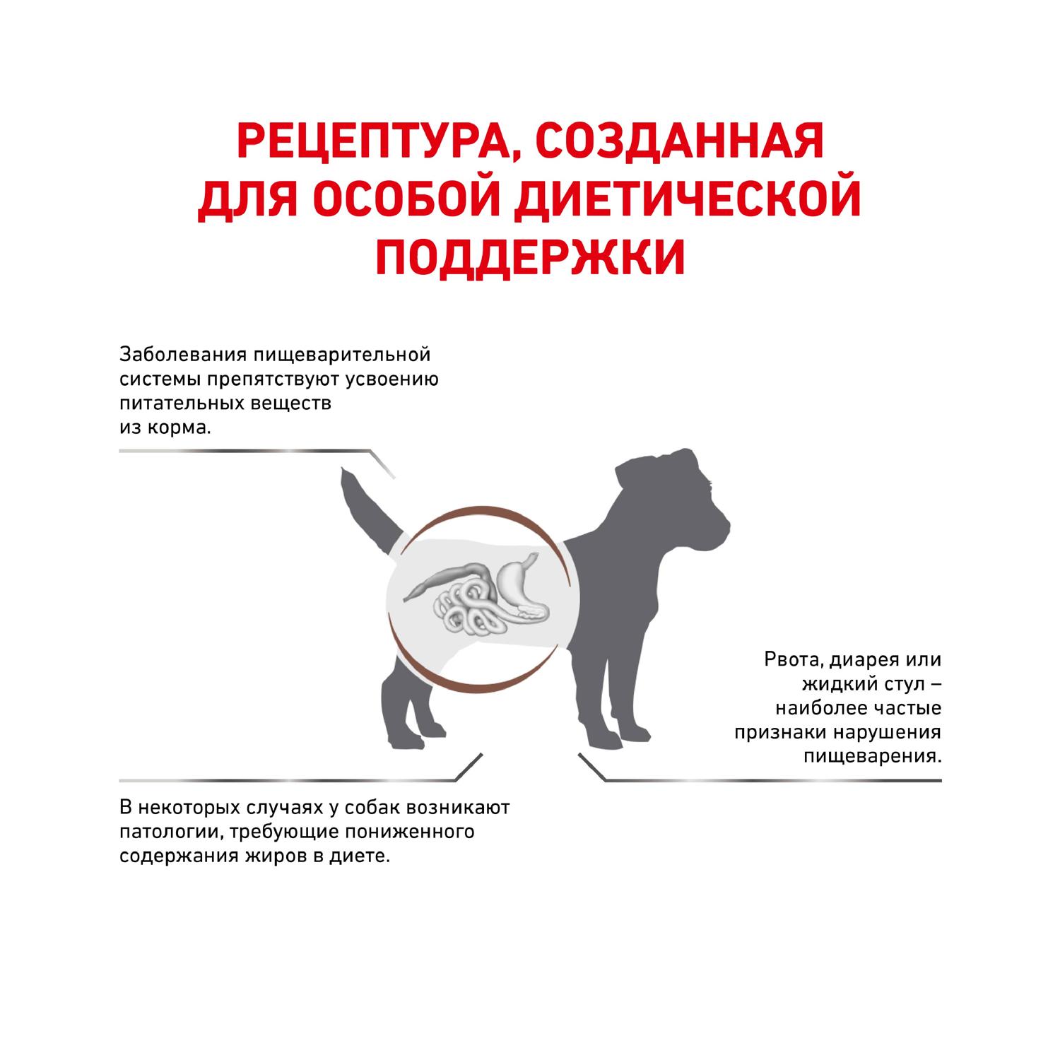 Корм для собак ROYAL CANIN Gastrointestinal low fat мелких пород 1кг купить  по цене 1365 ₽ с доставкой в Москве и России, отзывы, фото