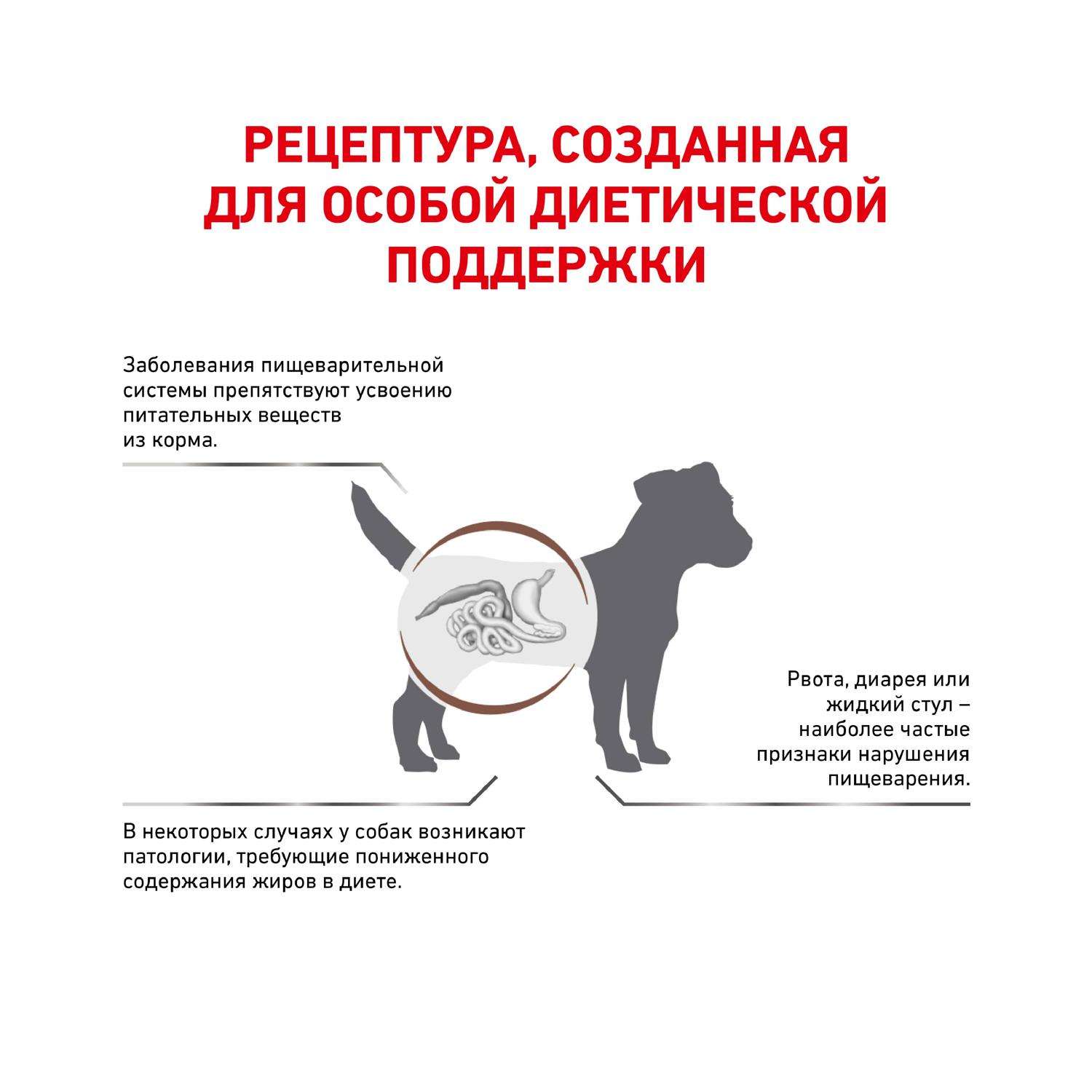 Корм для собак ROYAL CANIN Gastrointestinal low fat мелких пород 1кг - фото 3