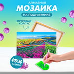 Алмазная мозаика Solmax Цветочное поле на подрамнике 40х50см