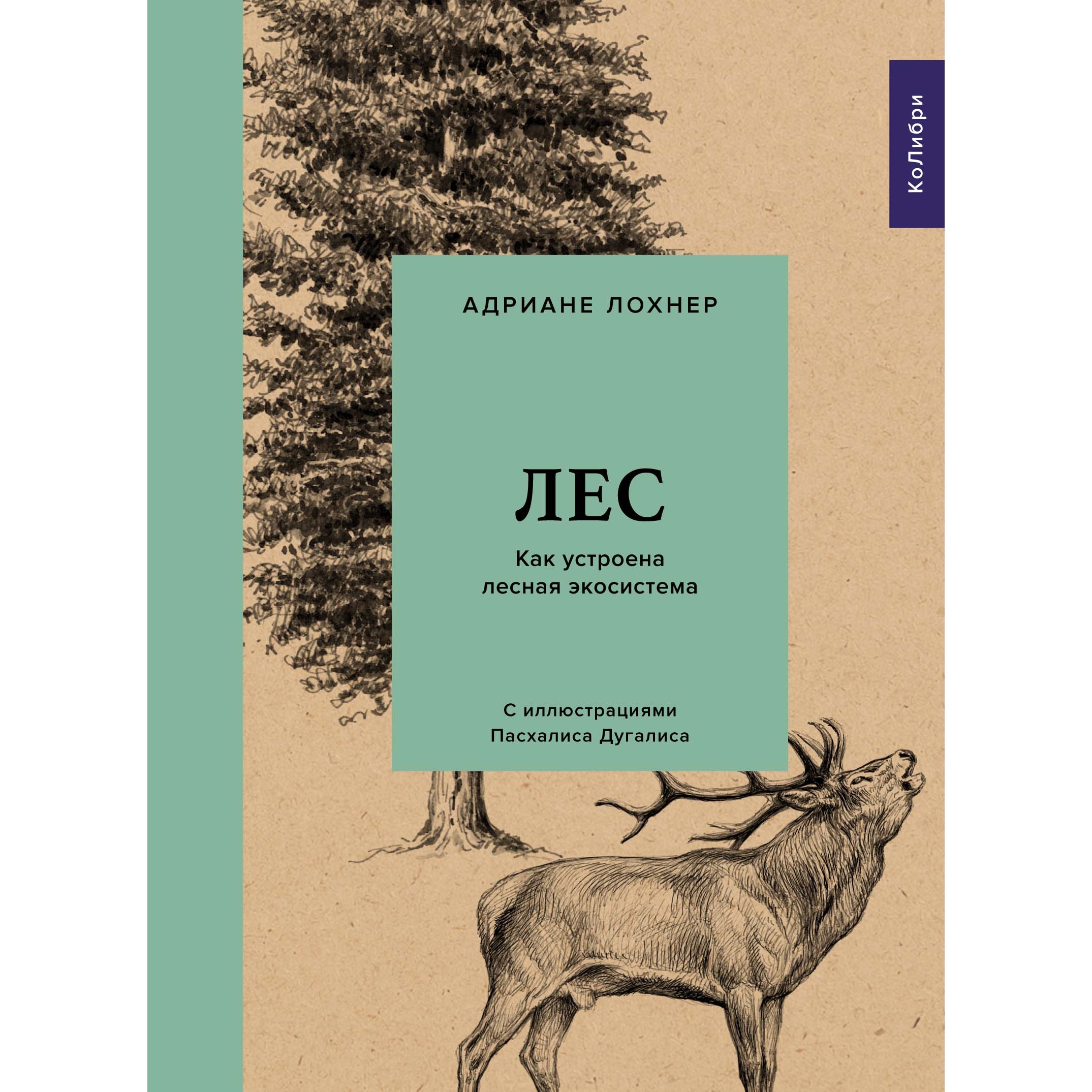 Книга КОЛИБРИ Лес. Как устроена лесная экосистема Лохнер А. Серия: Культ природы - фото 1