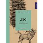 Книга КОЛИБРИ Лес. Как устроена лесная экосистема Лохнер А. Серия: Культ природы