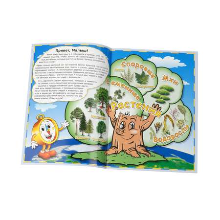 Детский атлас мира АГТ Геоцентр с наклейками Растения 19 стр.