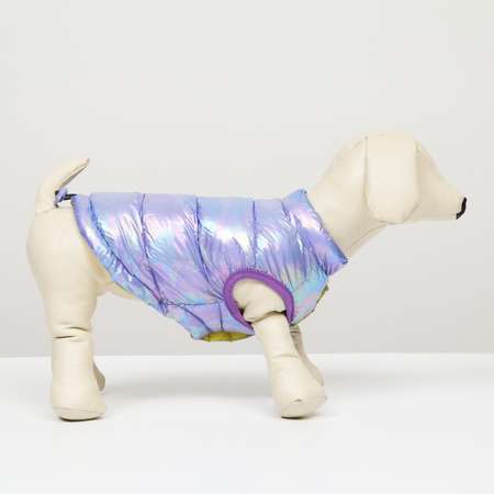 Куртка для собак Sima-Land двухсторонняя размер 14 фиолетовая/жёлтая