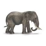 Фигурка SCHLEICH Африканский слон самка