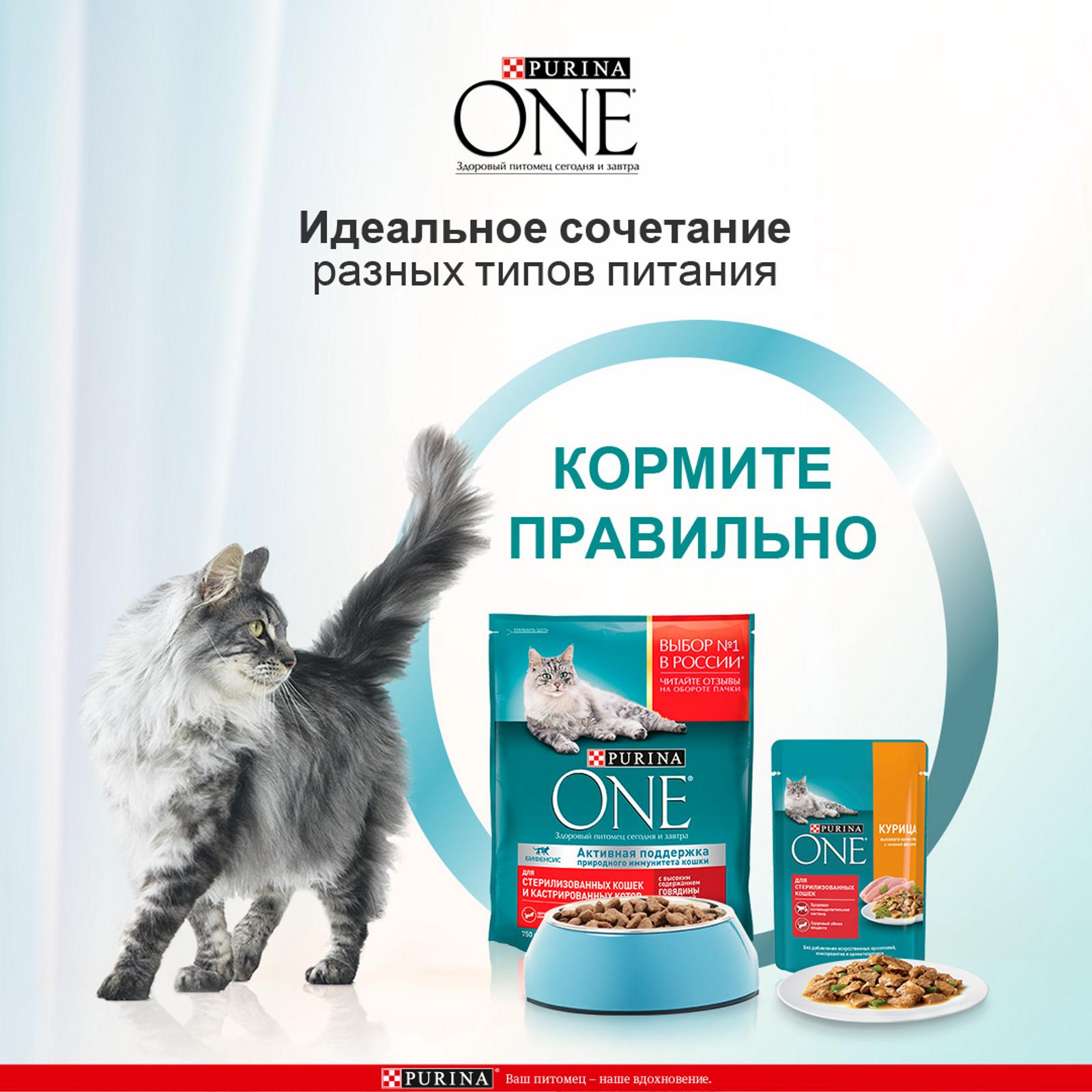 Корм для кошек Purina One при стерилизации и кастрации лосось-пшеница 1,5 кг