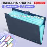 Папка-органайзер Brauberg А4